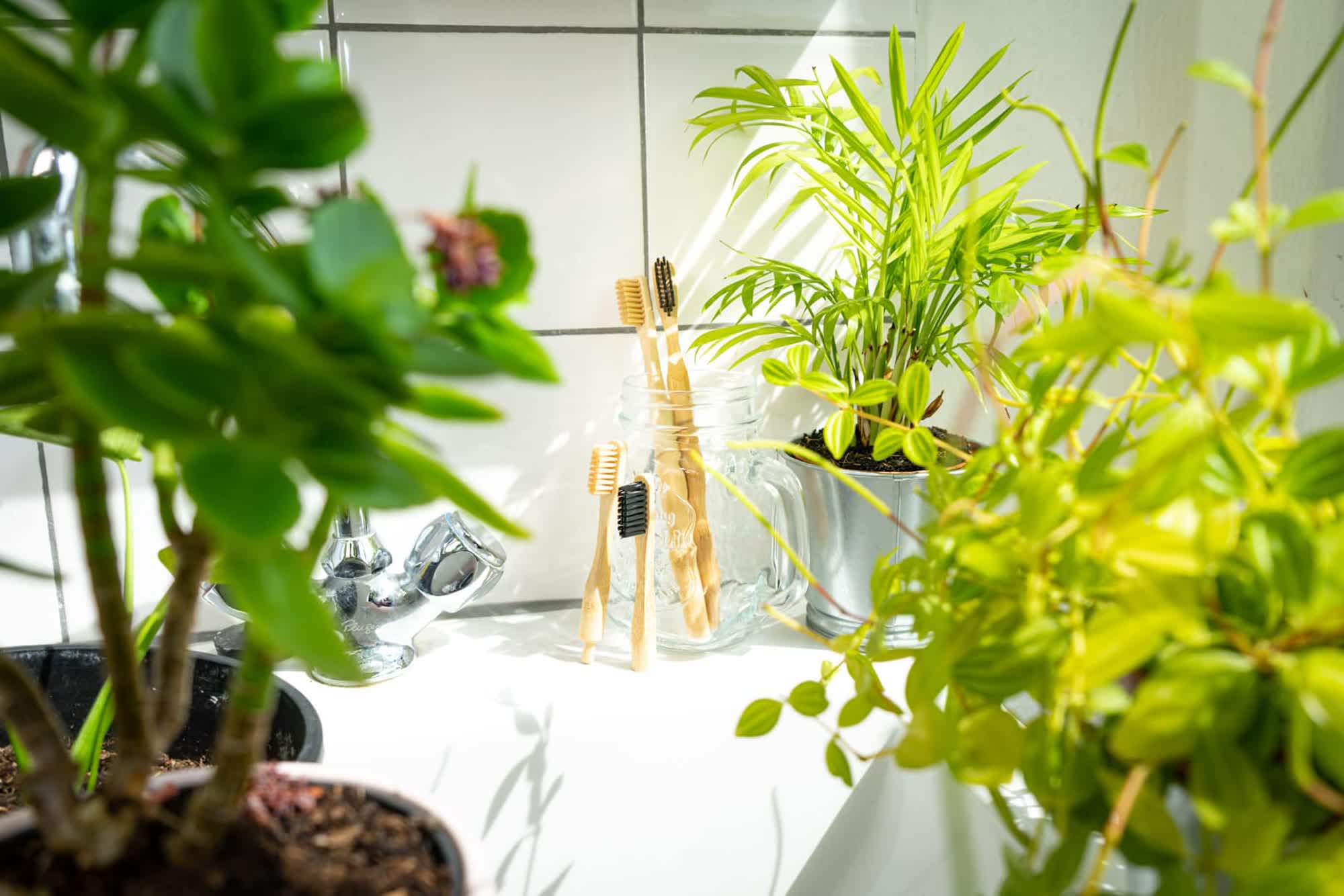 A bamboo toothbrush resting among green plants