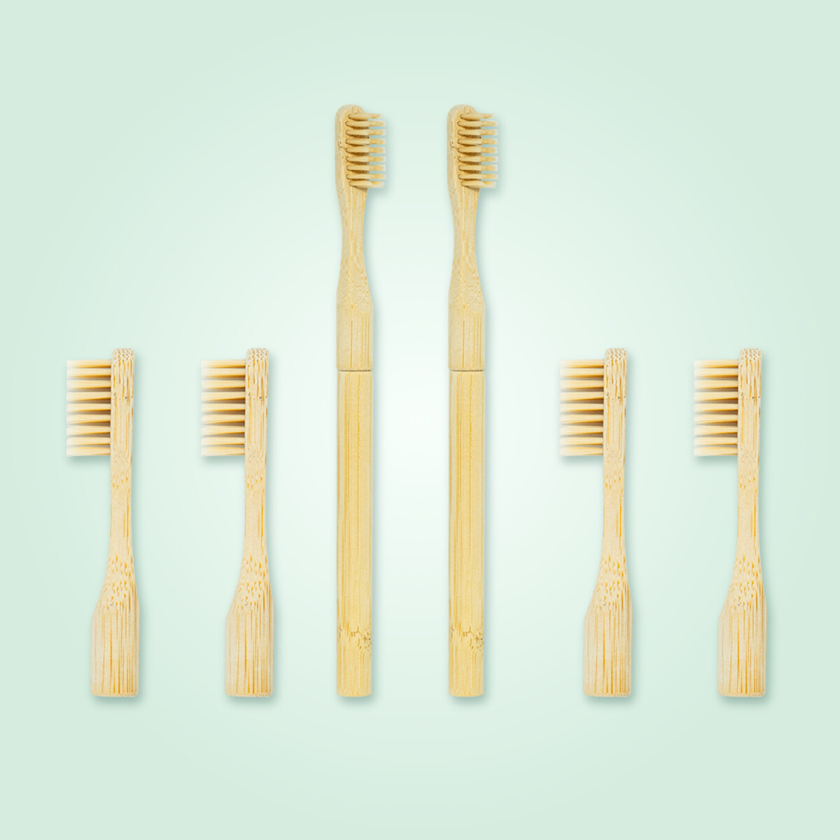 Duo set: 2 handles + 4 heads