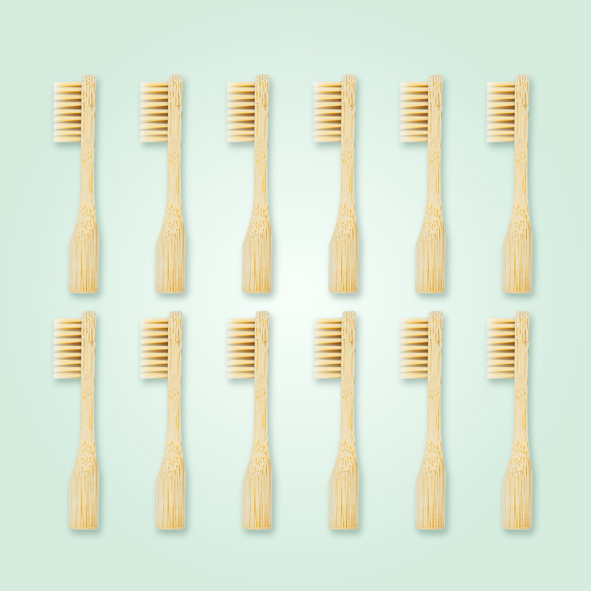 Refill 12-pack: 12 replacement heads